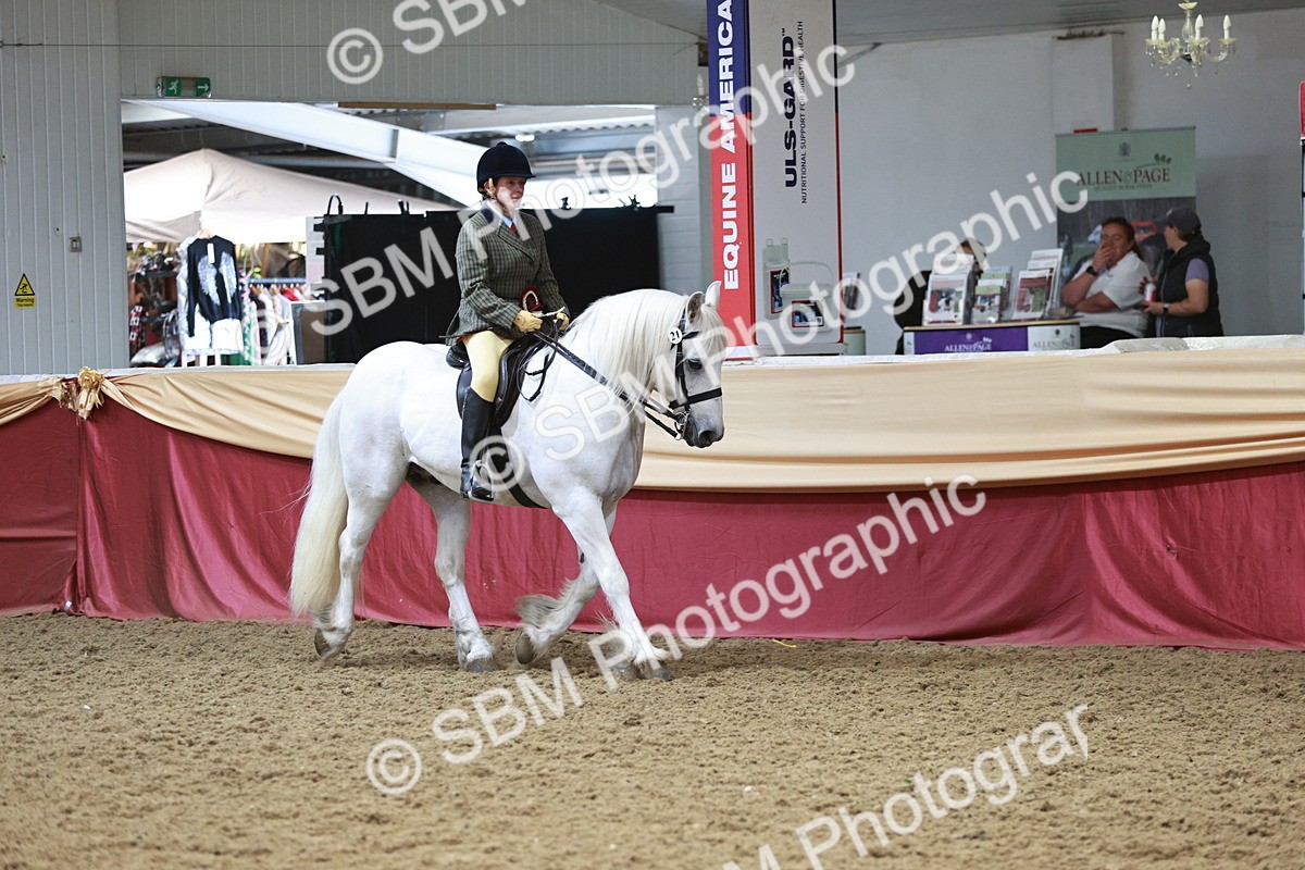 SBM_08644 - Regional Ridden Champ