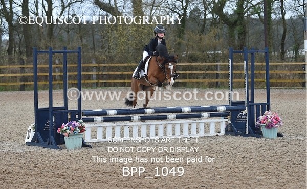 BPP_1049 - CLASS 1 Club/ Unaffiliated 60cms Open