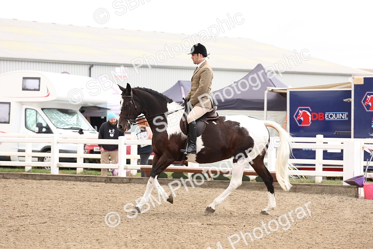 SBM_02938 - Class 53 - Ridden Competition Horse/Pony