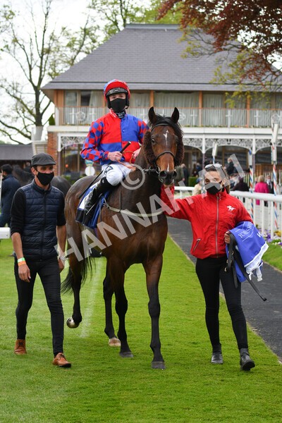 yr14052021r6-25 - Race 6 4.15pm Yorkshire Equine Practice Stakes