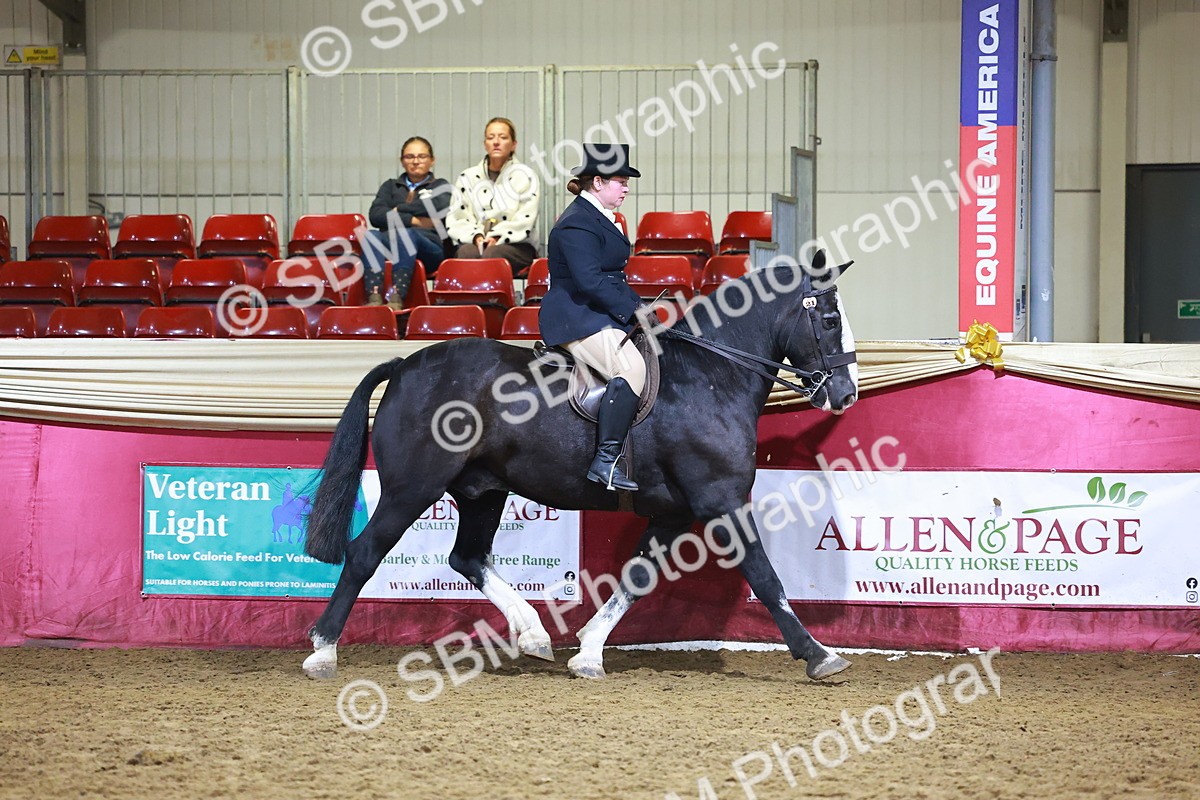 SBM_15662 - Class T - Working Veteran Champ
