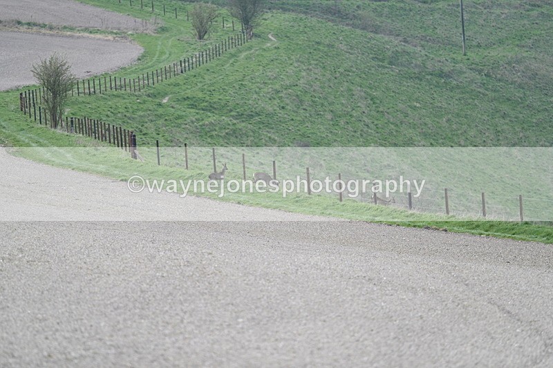 WJ7_7987 - Line 2 A camera