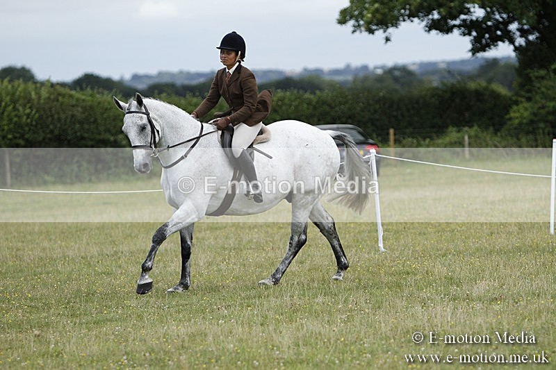 BVR160717-1797 - Ring 3 BVRC Show 16/07/17