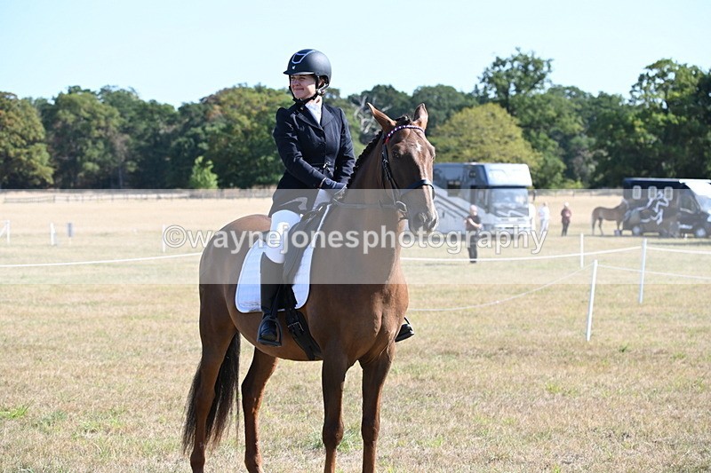 WJ6_7294 - Class 33 Rescue Pony