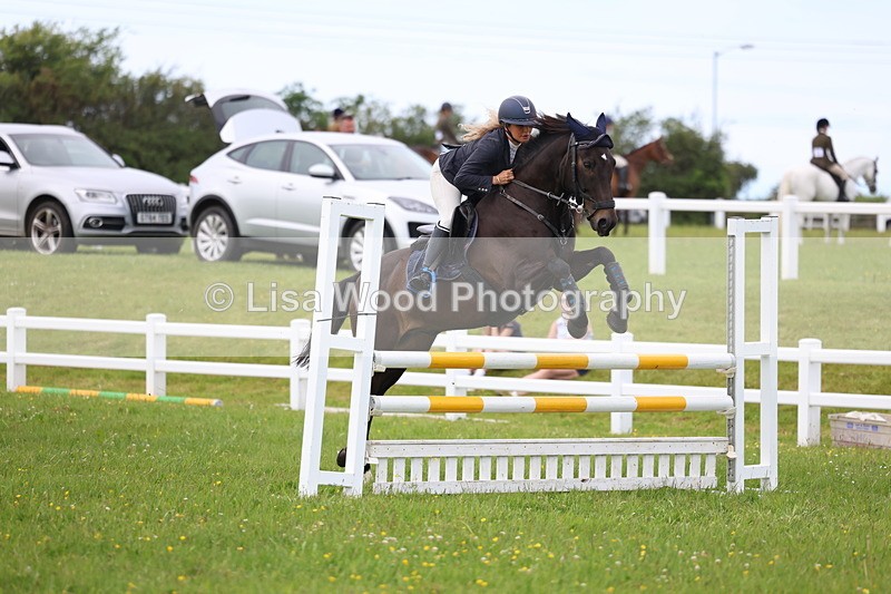 3E7A1780 - Class 13: Senior British Novice/90cm open