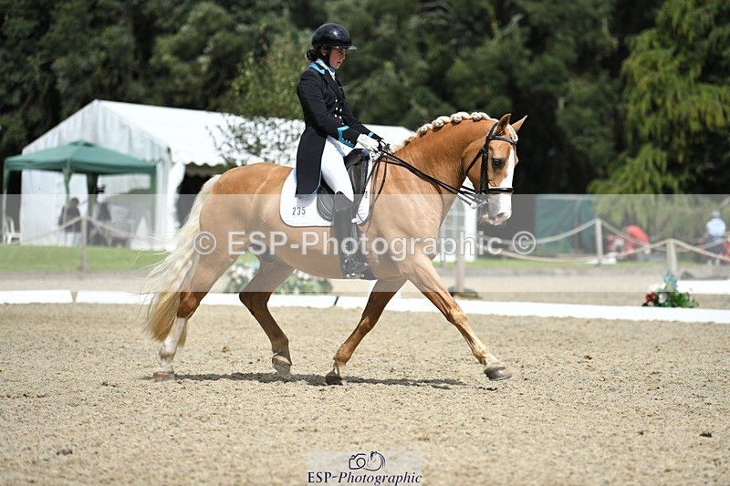 230812-142343-04689 - Cls 7 FEI PSG Bronze