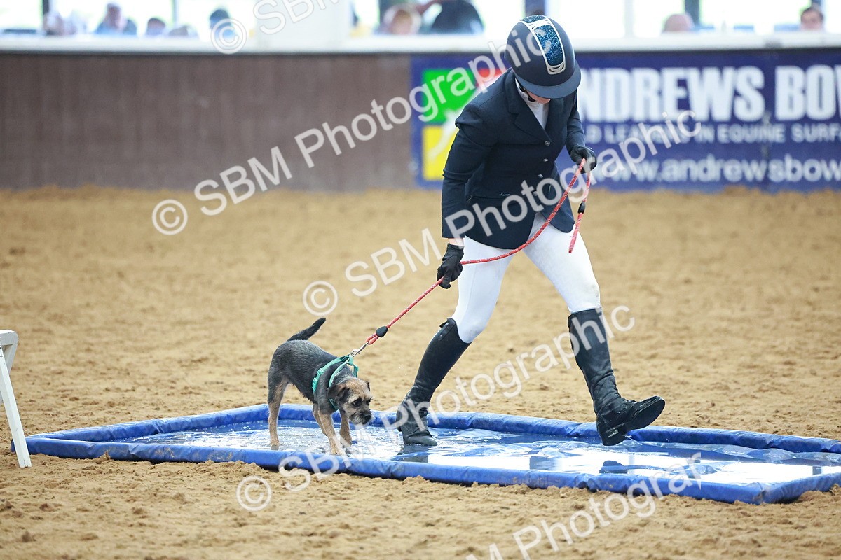 SBM_001659 - Class 3 - Horse & Hound (60cm)