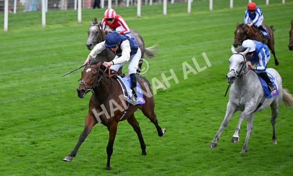 210825-006 Royal Fixation - Race 1 1.50pm Sky Bet Lowther Stakes