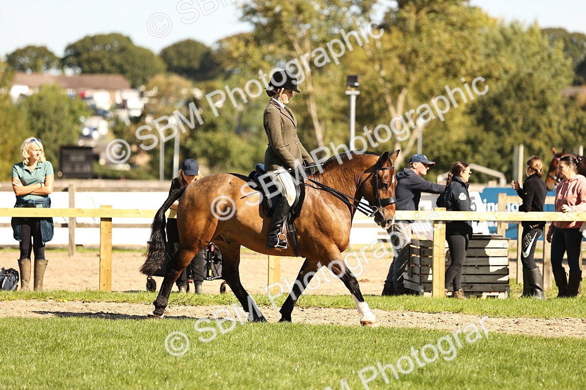 SBM_19118 - S3 - TSR Ridden Pony Showing