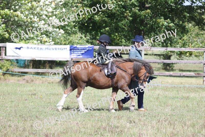 20250831-2797 - Class 18 - Childs First Pony