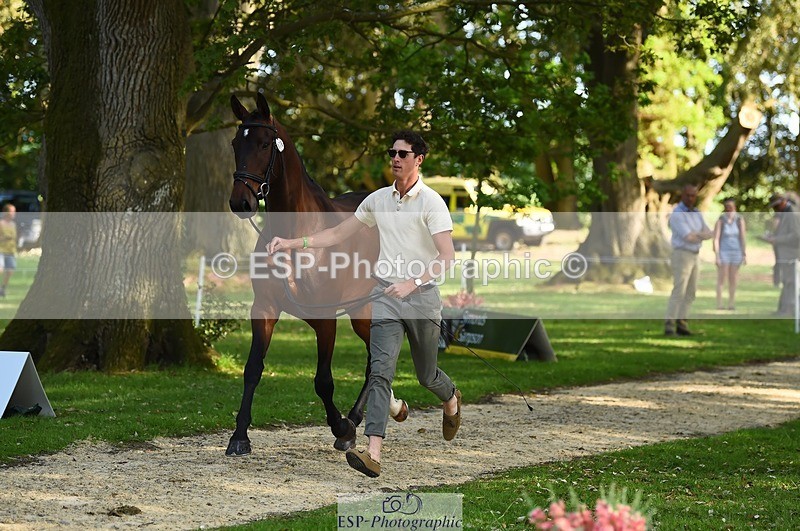 230524-171910-01429 - 176-TENZ-Will_Rawlin-WEDTrotUp+DR