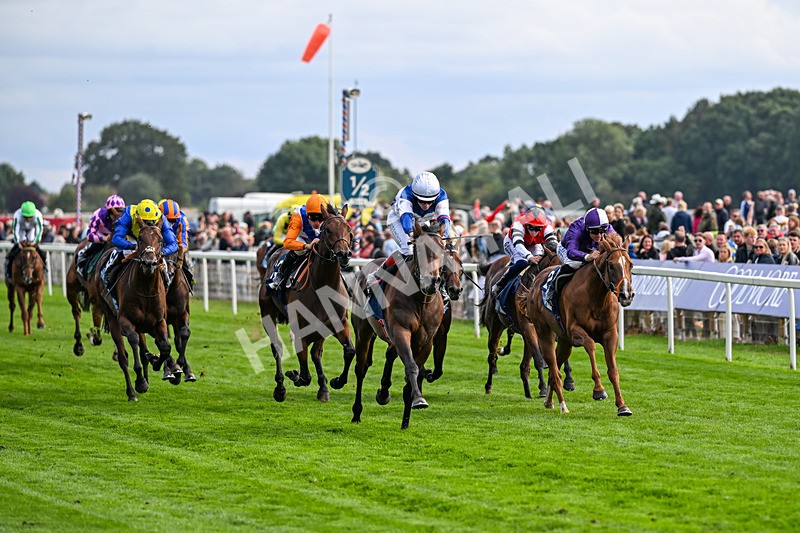 210826-Race 6-Benjamin Hornigold-7147 - Race 6 16.45pm British Stallion Studs EBF Convivial Maiden Stakes