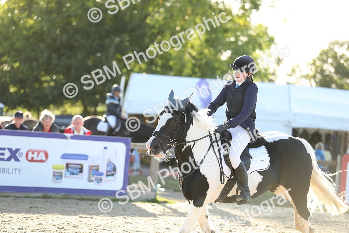 SBM_53985 - J23 - Junior Horse 70cm Championship