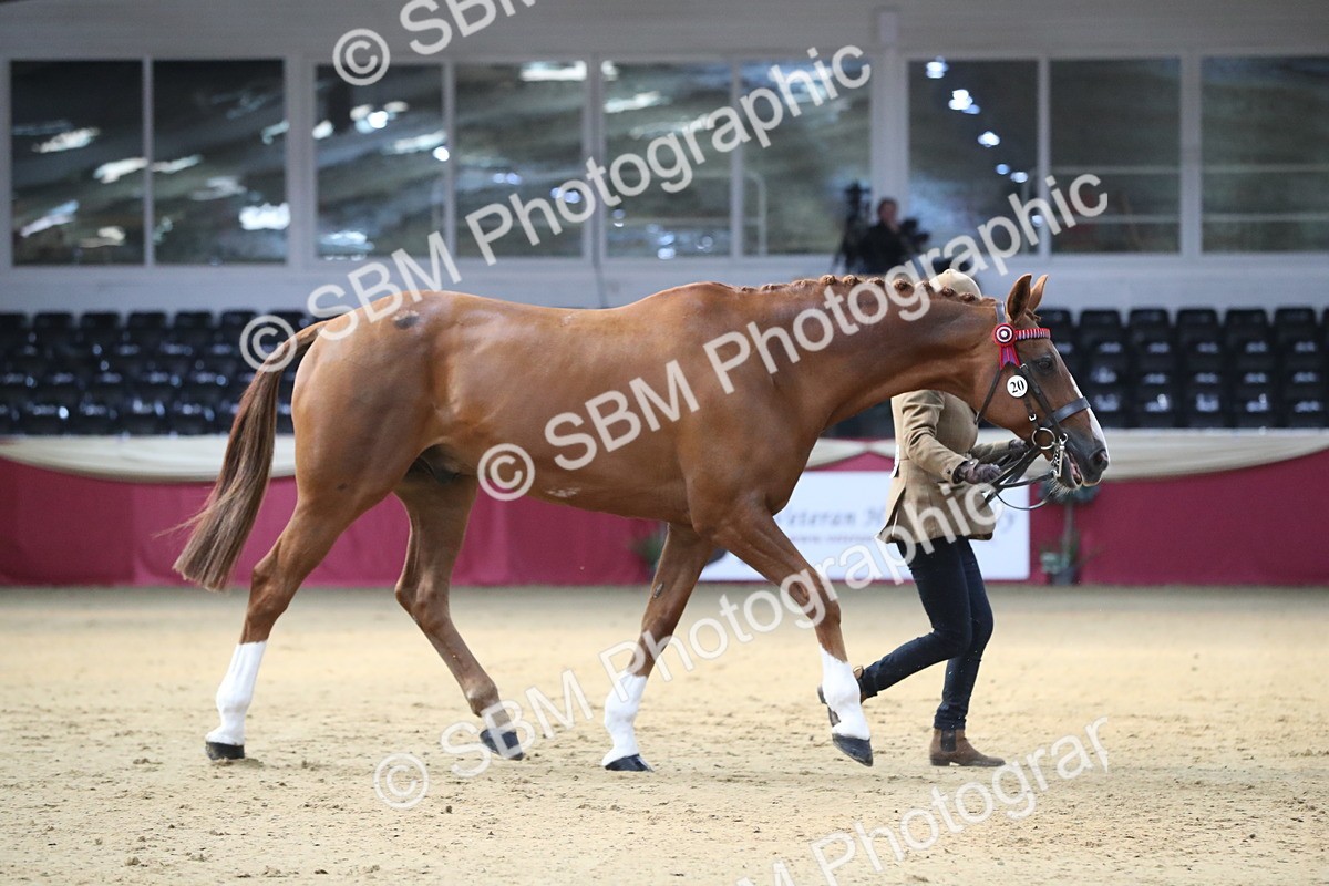 SBM_00515 - class 2a Area IH Veteran