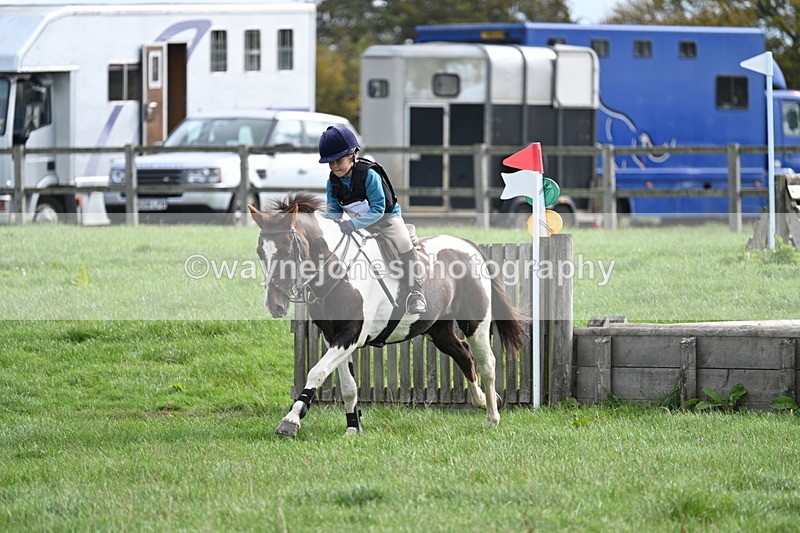 WJ7_8450 - 60cm Pairs