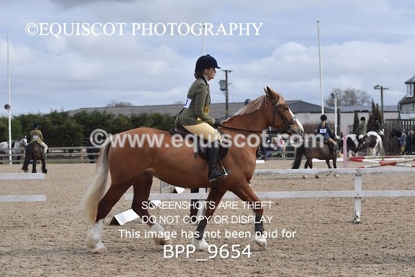BPP_9654 - 50CM