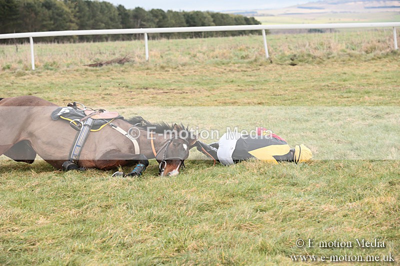 PtP 230119 66 - Royal Artillery Point-to-Point  - Larkhill  - 26/01/19