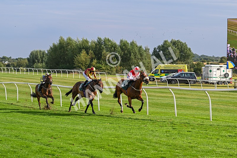 280824-Race 6-Night On Earth-4930 - Race 6