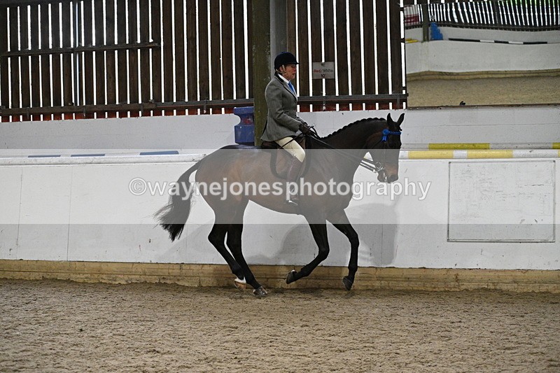 WJ7_3891 - Class 17 Ridden Cob