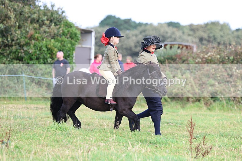 3E7A3522 - Class 2: Lead rein