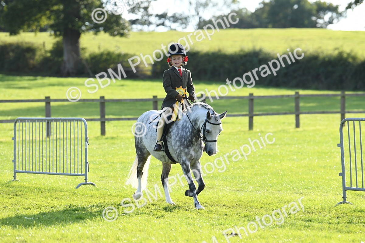 SBM_52470 - S22 - 1st Ridden Show & Show Hunter Pony