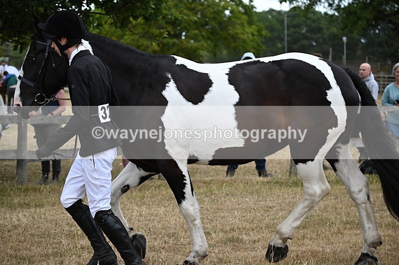 WJ6_8227 - Class 10 Coloured in Hand
