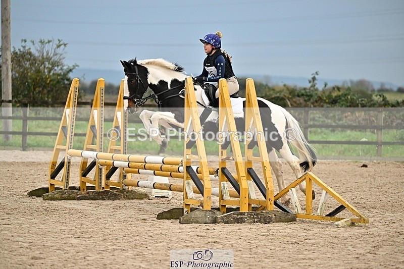241110-154432-01307 - 80-85cm Arena Eventing