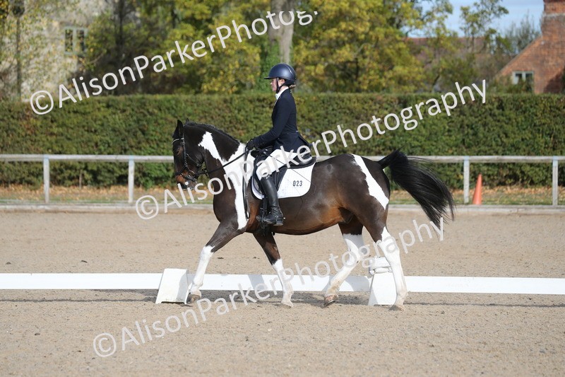 20261011-0251 - Class 4 - Novice 6