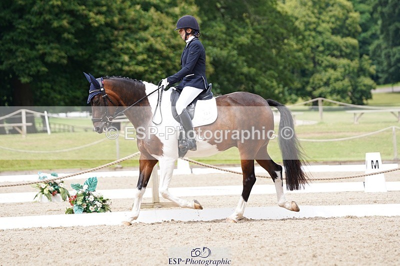 240721-113114-07811 - 124-Sophie_Savage-Two_Tone_Ted