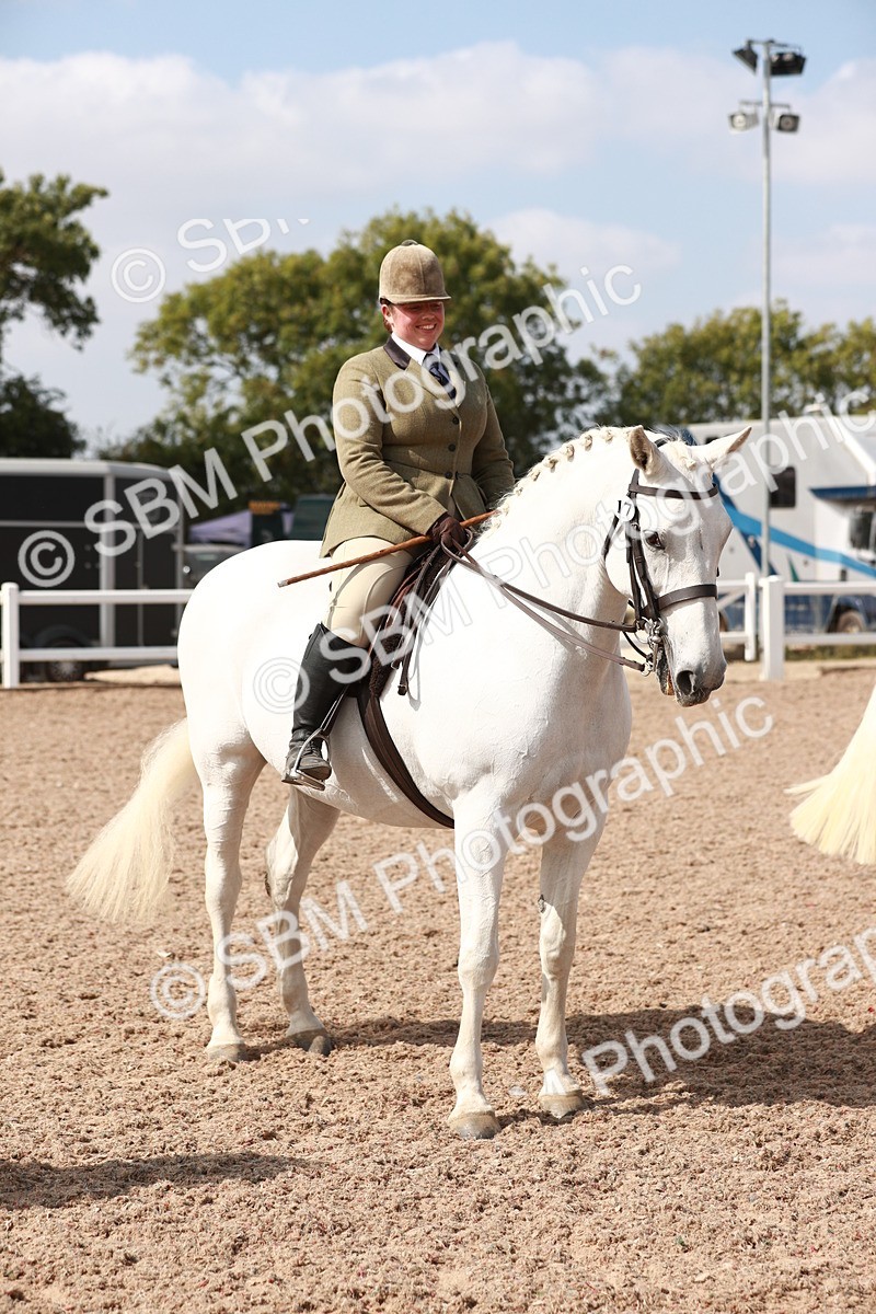 SBM_14868 - Class 212 Ridden Hunter - Small