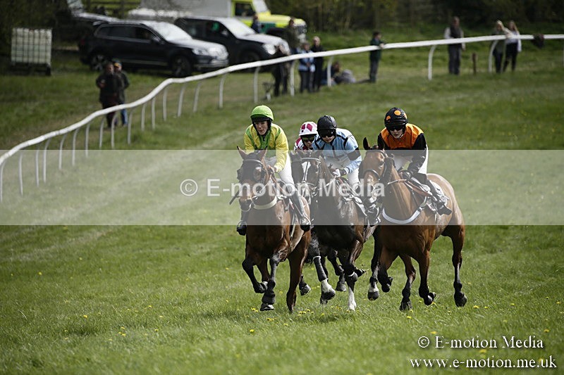 PtP 170417 283 - Old Berks Point-to-Point Lockinge 17/04/17