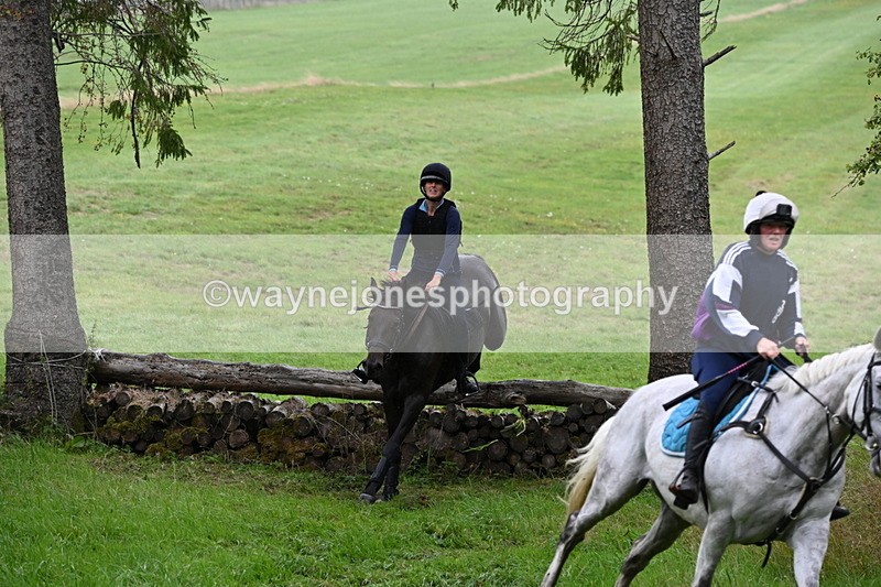 WJ6_1982 - Time 13:31 to 14:00