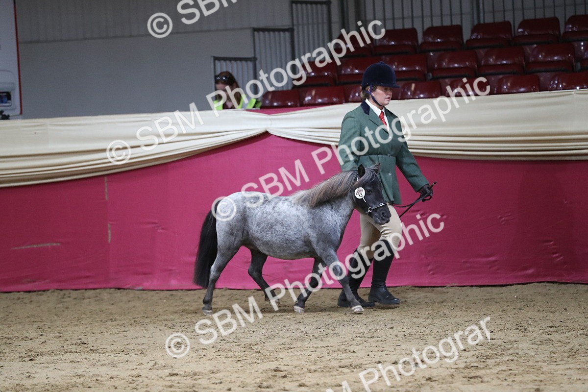SBM_06291 - Class 9R Regional- IH Pre Vet