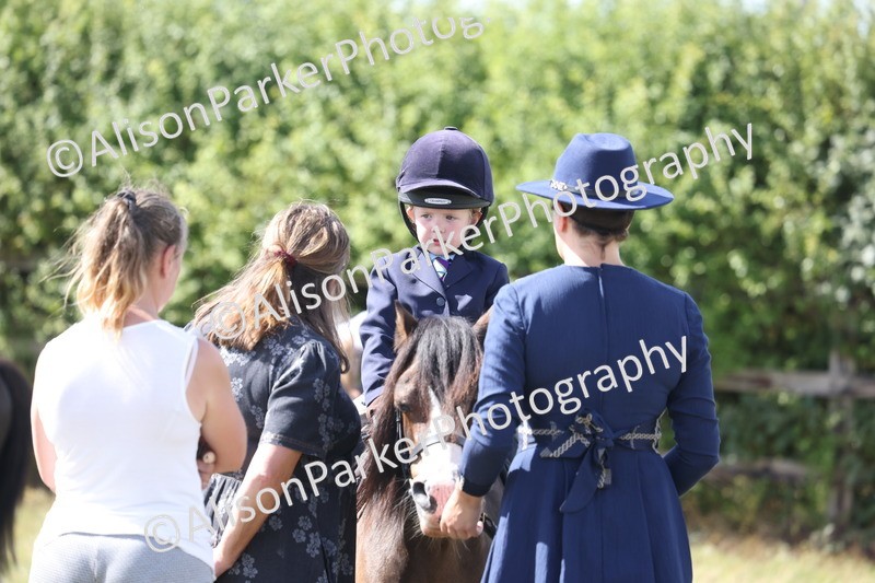 20260906-2795 - Class 25 - Absolute Beginners Pony