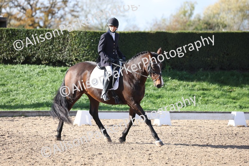 20251101-0617 - Class 5 - Novice 3