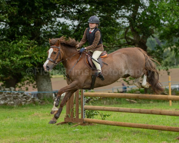 Dunblane show-597 - Dunblane and Doune Show Ring 1