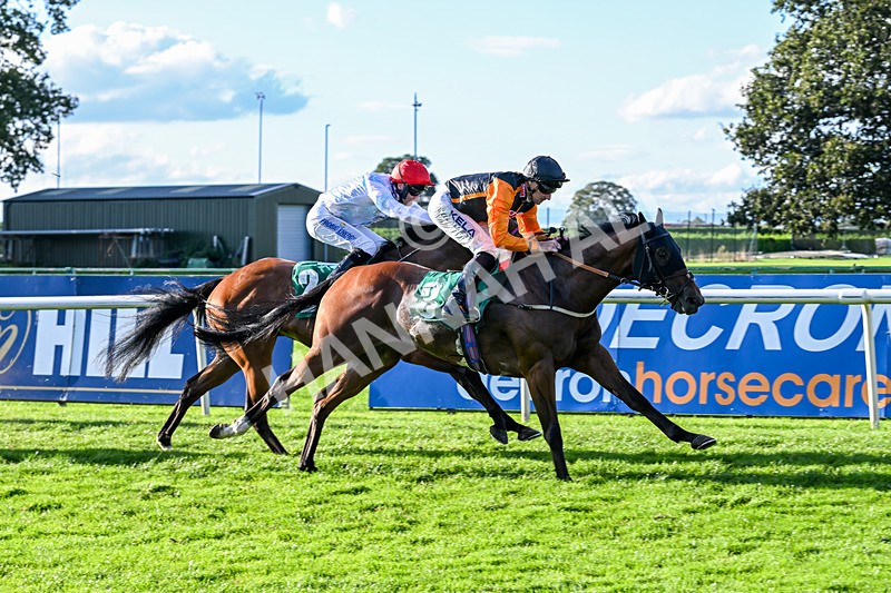 140926-Race 7-Forest Caper-7962 - Race 7 5.21pm Bowel Cancer Screening Programme Saves Lives Handicap