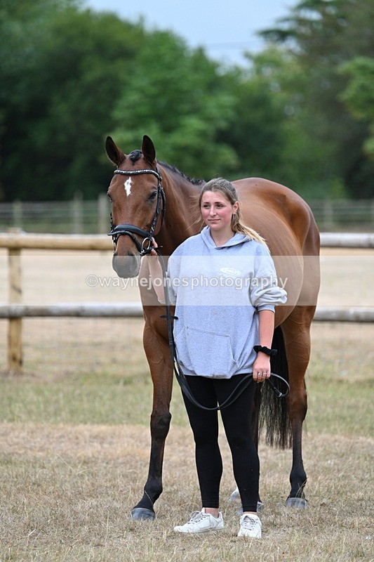 WJ7_9862 - Class 5a Most Handsome Gelding (above 14.2hh)