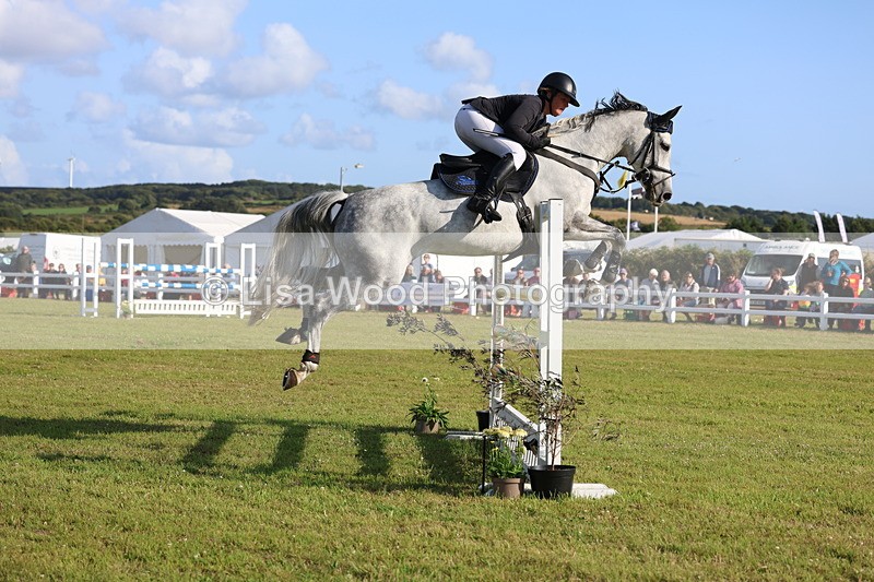 3E7A4479 - Class C: Showjumping Senior Foxhunter