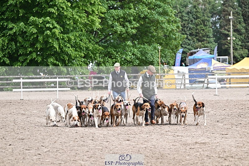 250524A-152203-12687 - East Devon Hounds