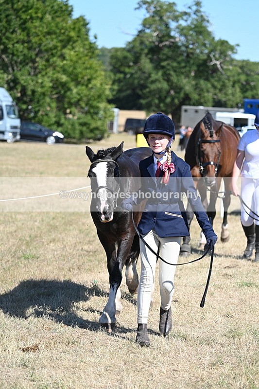 WJ7_1833 - Class 43 Best Six Legs (In hand)