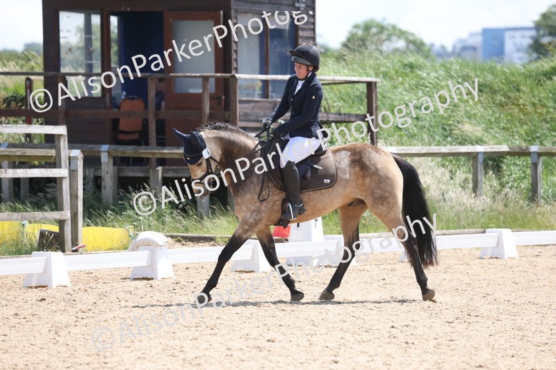 20250614-0828 - Class 4 - Novice 2