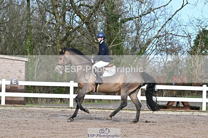 250125-122106-00411 - Dressage - CT Class 5 BE95 (90cm)
