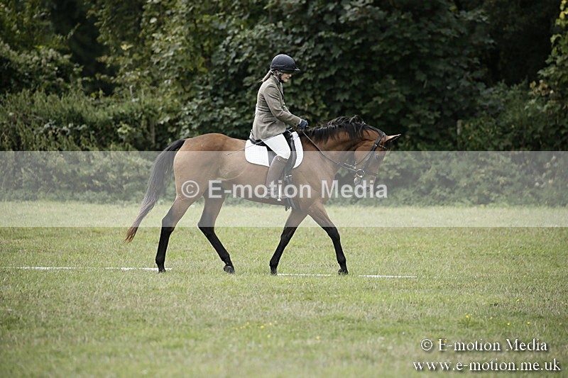 BVR080918 204 - BVRC Novice Dressage & CR 08/09/18