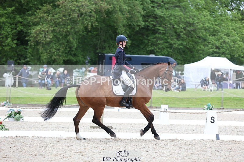 240524-182720-11487 - 292-MY_DREAM_H.J.-Pippa_Royle