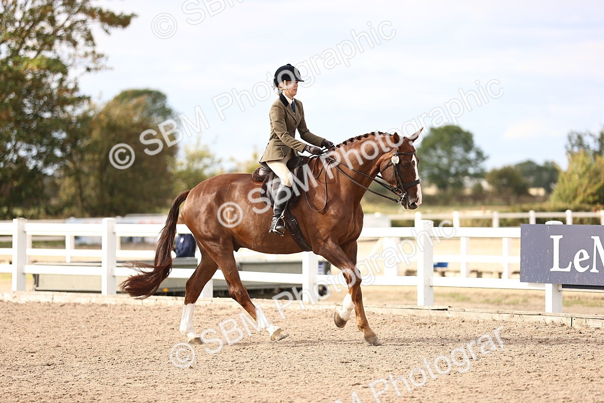 SBM_18182 - Class 423 - Equitation (best rider) Adult