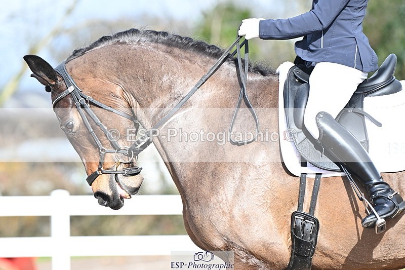 240218A-125226-07451 - 164-Anna.Johannson-Kapellmeister