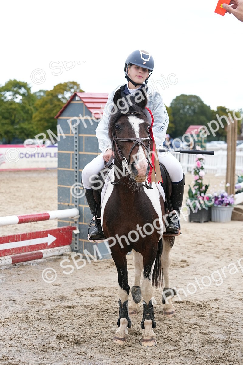 SBM_40902 - Supreme Championship Pony 50-55cm