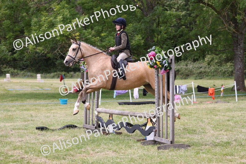 20260614-2965 - Class 22 - Open Working Hunter