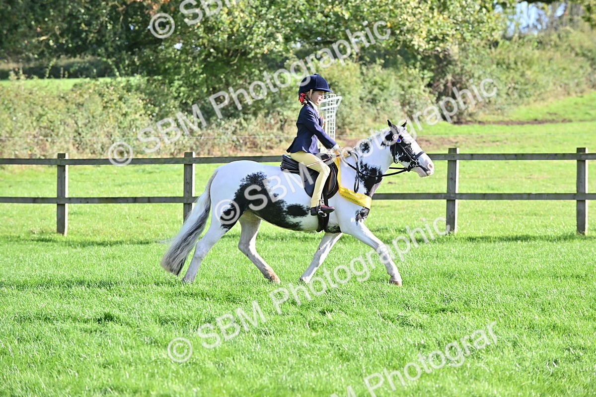SBM_51291 - S22 - First Ridden show and show Hunter Pony